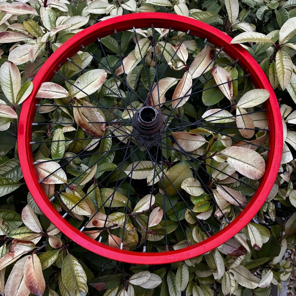 Red BMX Freestyle Wheel Rim 36 Spoke 20 inch Used